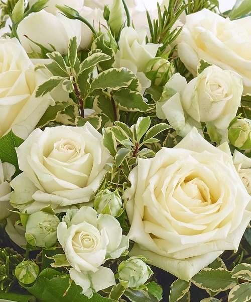Send Online Flowers to UK England Best Florist Windsor Berkshire